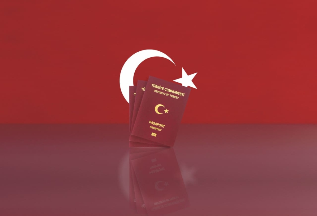 4 أسباب أساسية لسحب الجنسية التركية 